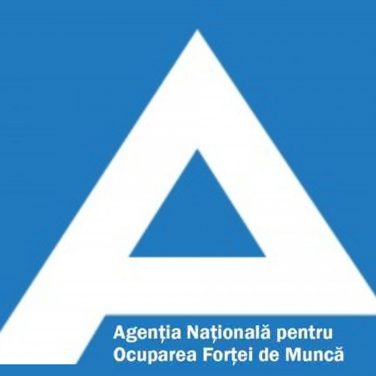 Agenția Națională pentru ocuparea Forței de Muncă (ANOFM)
